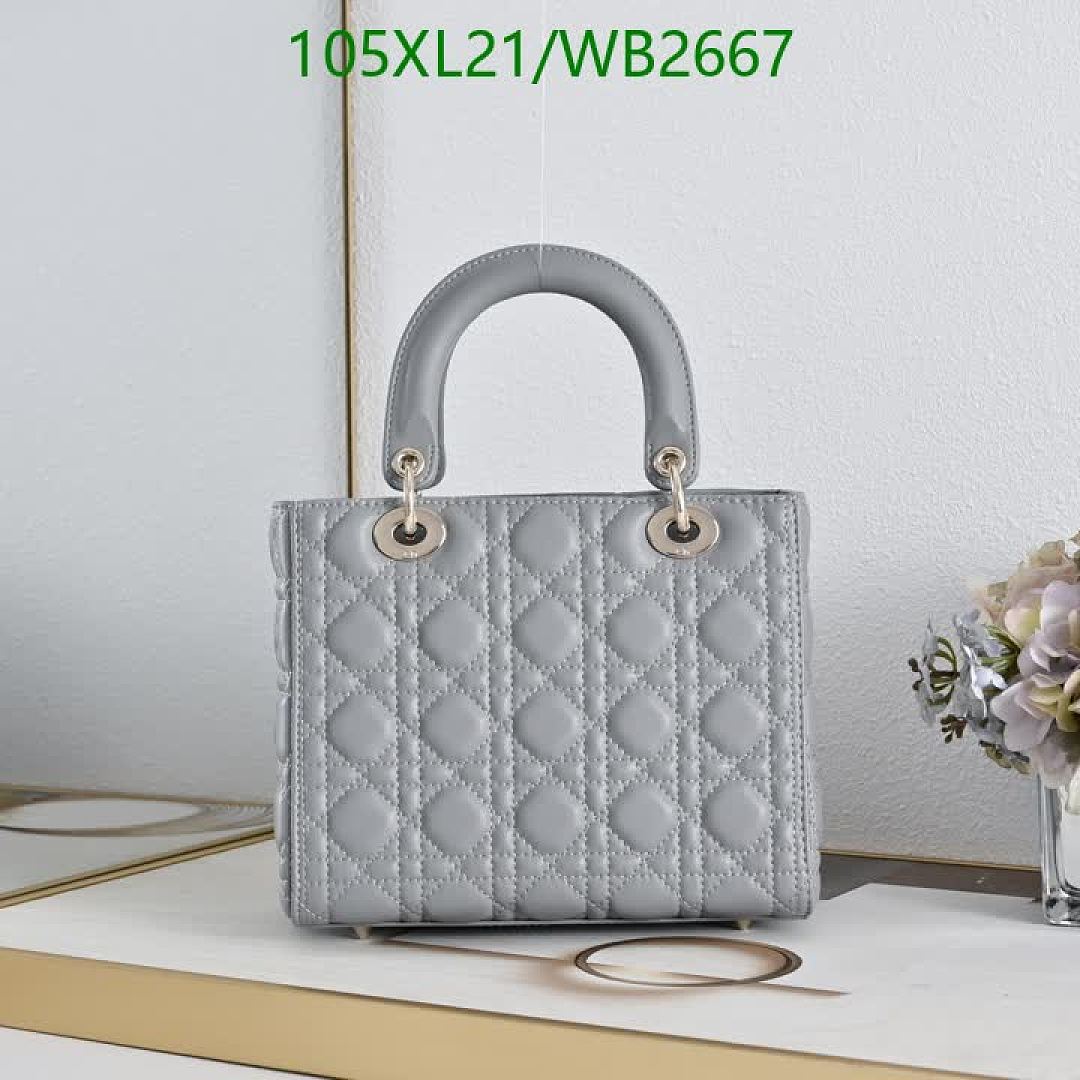 Dior-Bag-4A Quality Code: WB2667 $: 105USD