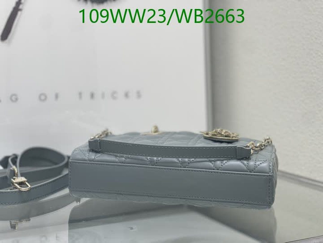 Dior-Bag-4A Quality Code: WB2663 $: 109USD