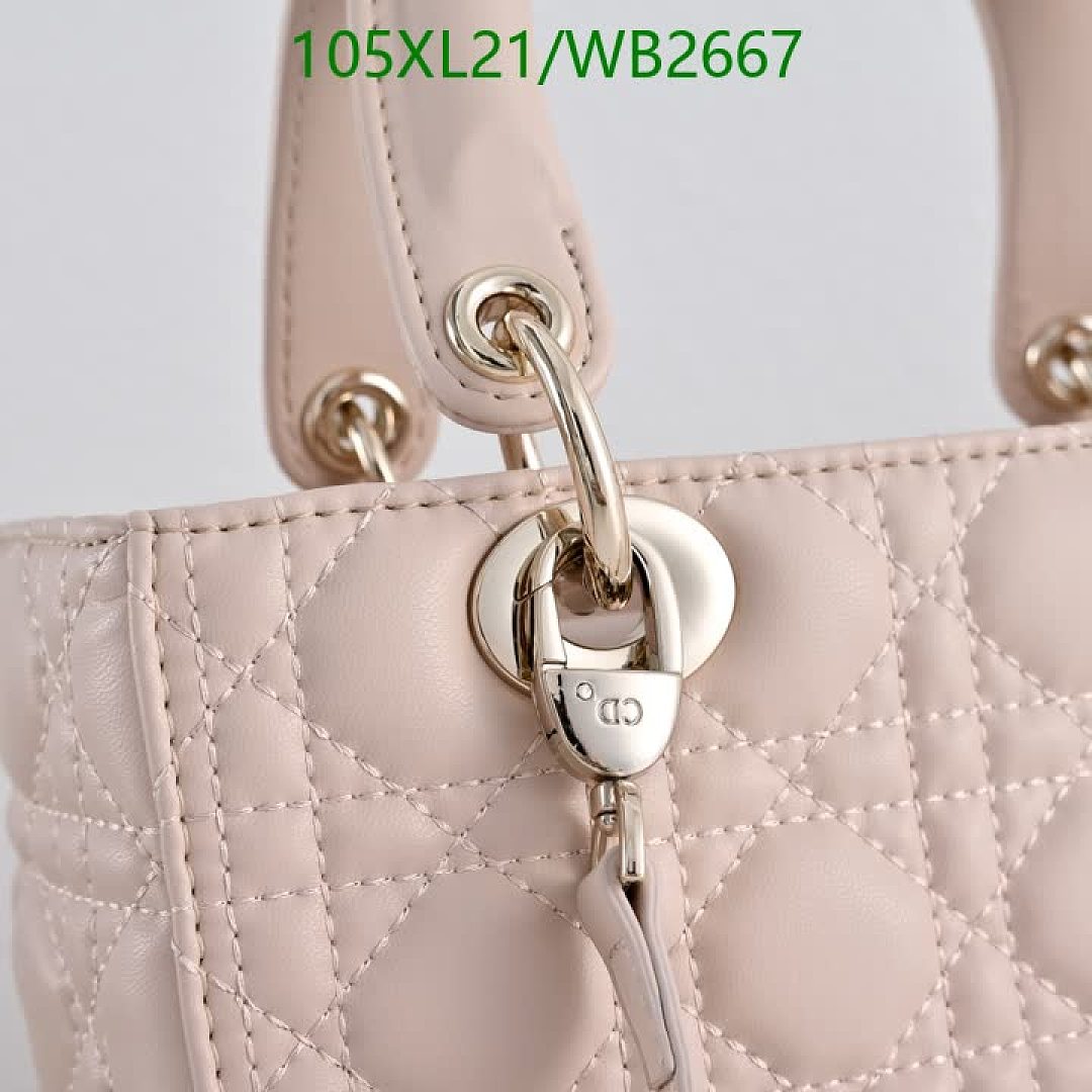 Dior-Bag-4A Quality Code: WB2667 $: 105USD