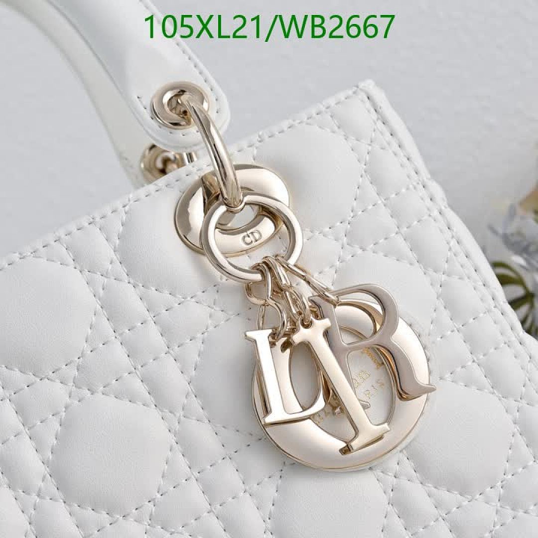 Dior-Bag-4A Quality Code: WB2667 $: 105USD