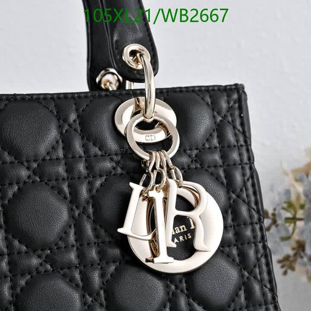 Dior-Bag-4A Quality Code: WB2667 $: 105USD