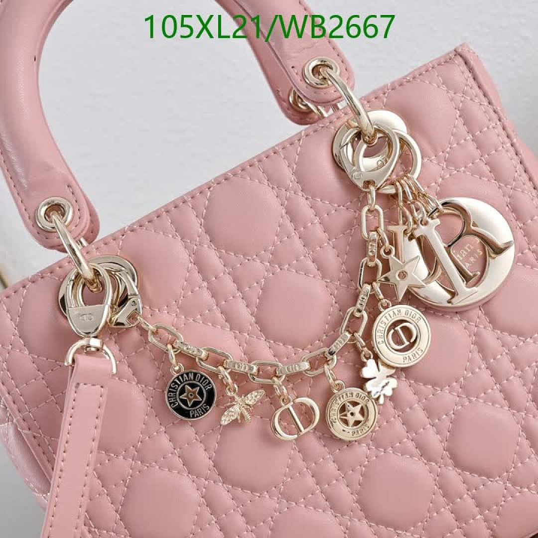 Dior-Bag-4A Quality Code: WB2667 $: 105USD