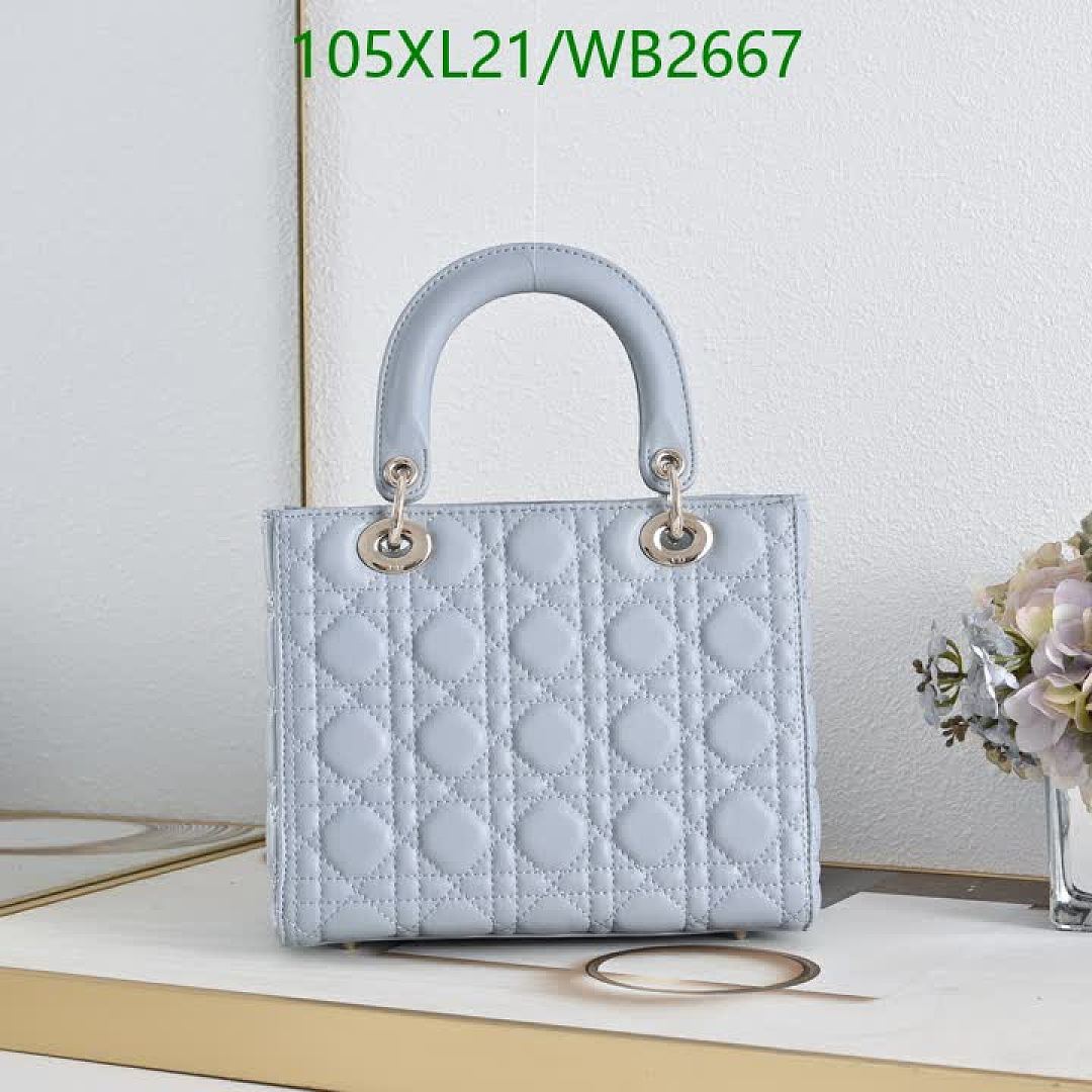 Dior-Bag-4A Quality Code: WB2667 $: 105USD