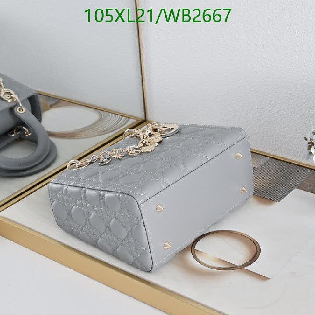 Dior-Bag-4A Quality Code: WB2667 $: 105USD