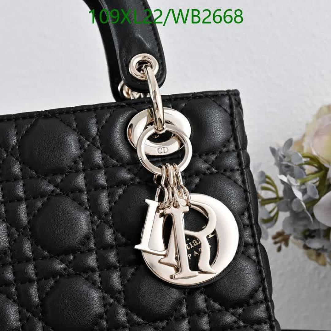 Dior-Bag-4A Quality Code: WB2668 $: 109USD
