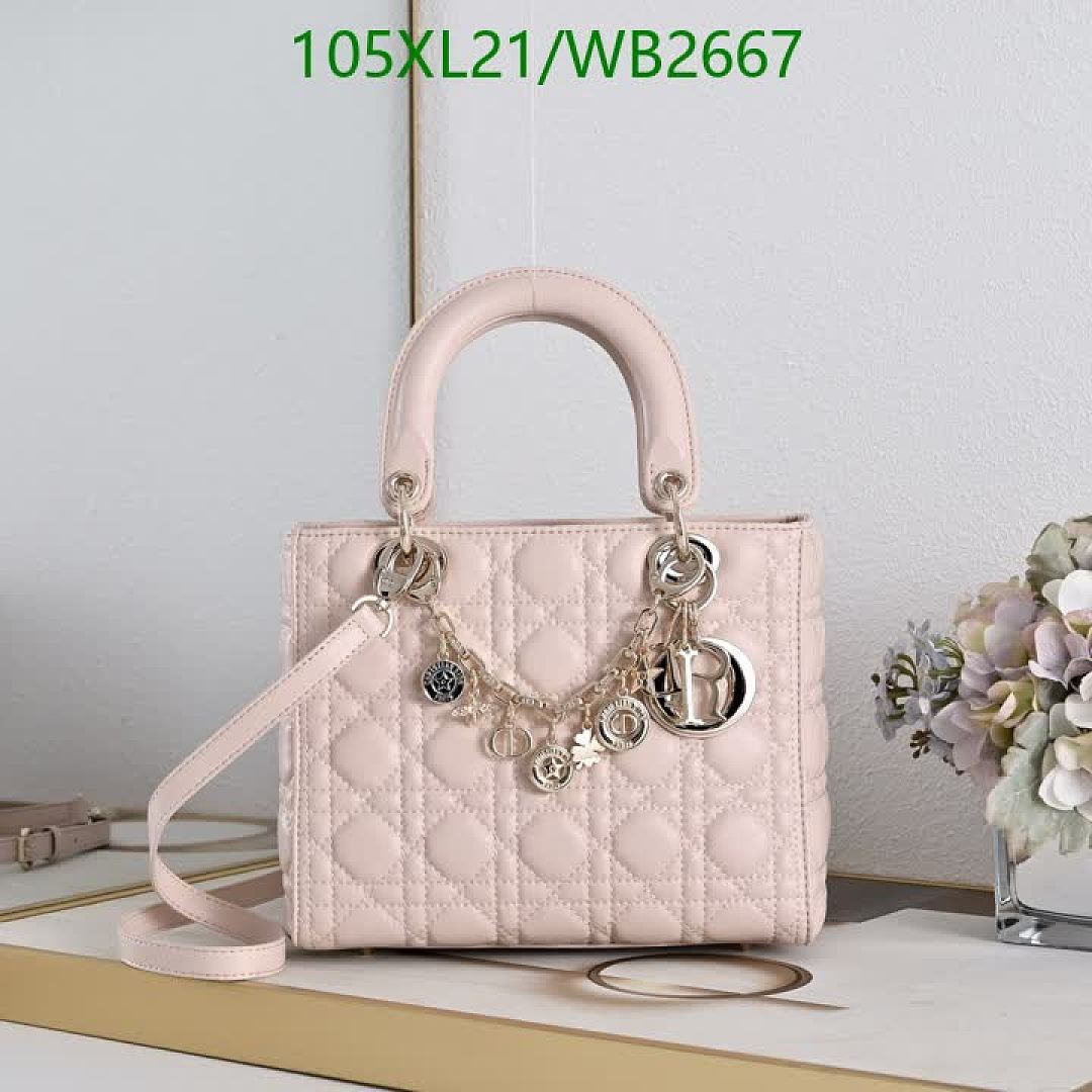 Dior-Bag-4A Quality Code: WB2667 $: 105USD