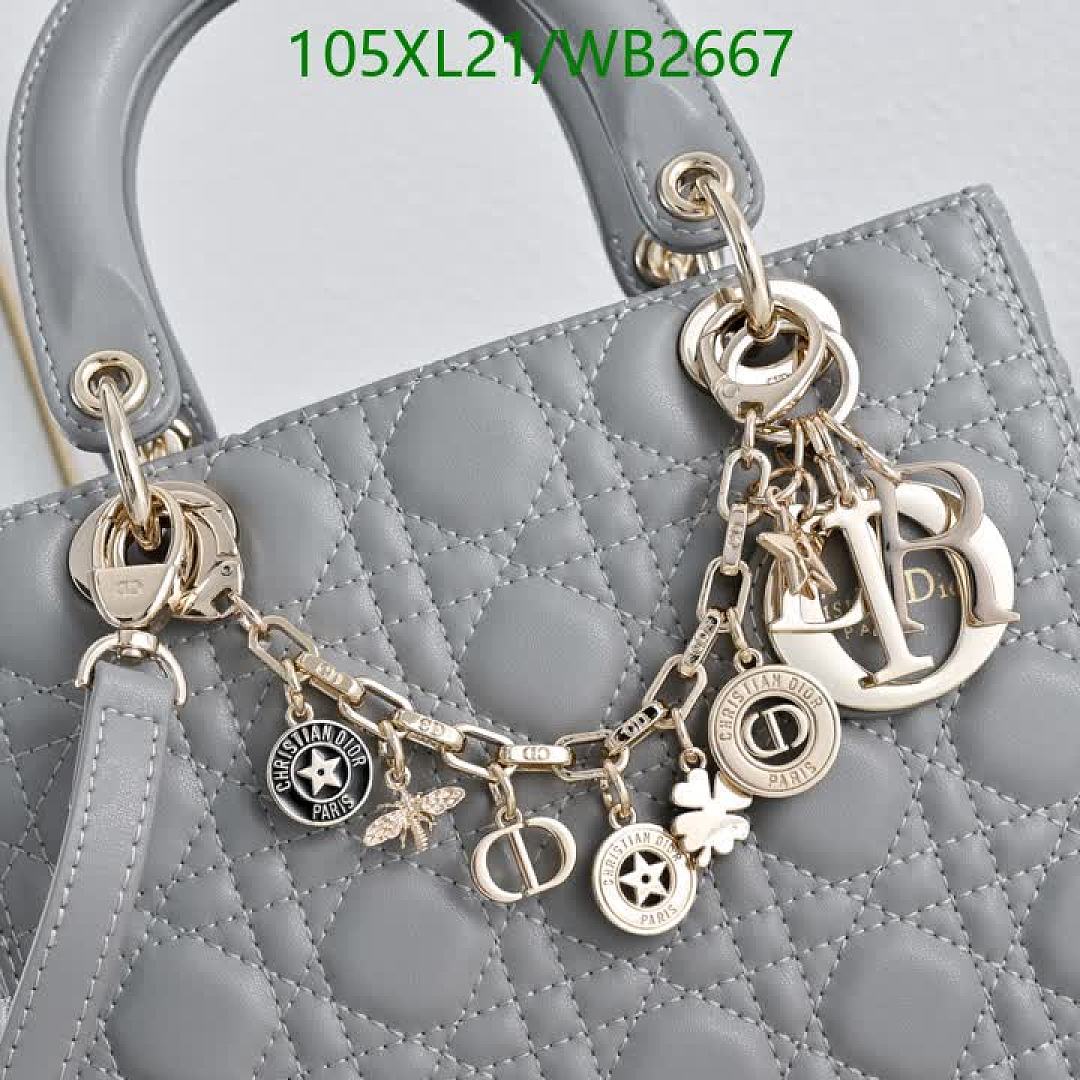Dior-Bag-4A Quality Code: WB2667 $: 105USD