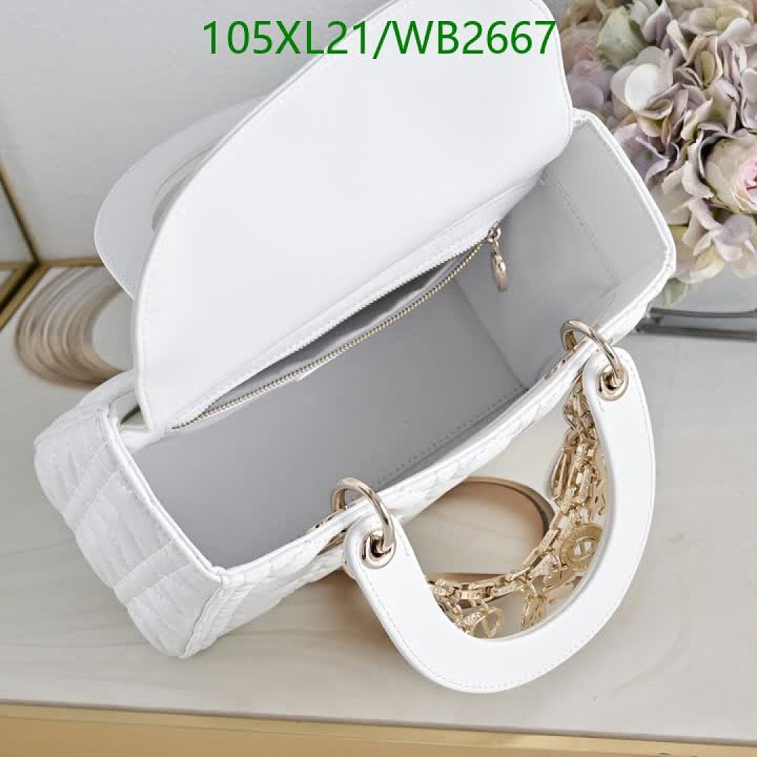 Dior-Bag-4A Quality Code: WB2667 $: 105USD