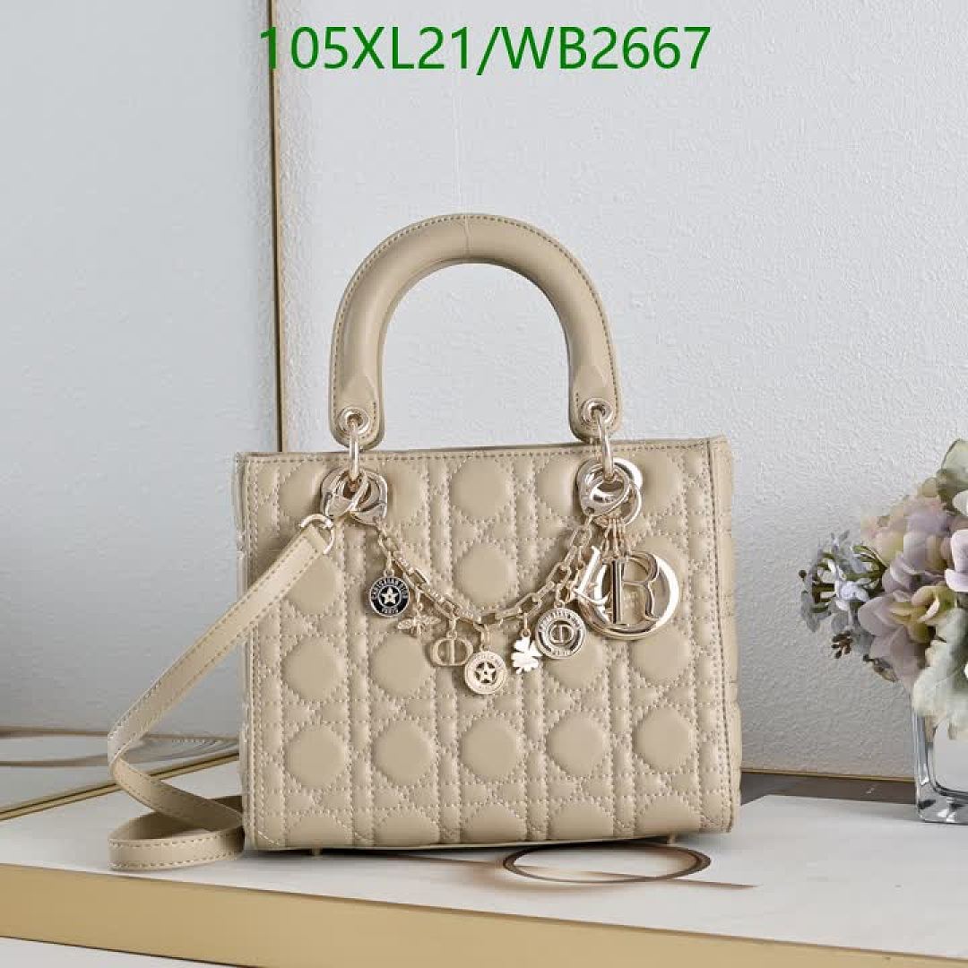 Dior-Bag-4A Quality Code: WB2667 $: 105USD