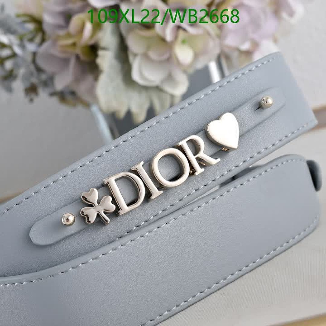 Dior-Bag-4A Quality Code: WB2668 $: 109USD