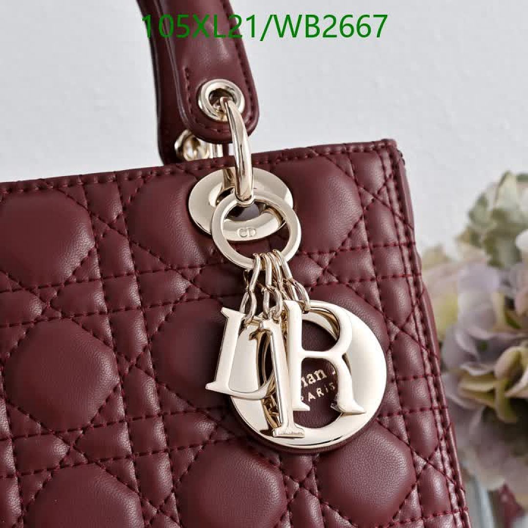 Dior-Bag-4A Quality Code: WB2667 $: 105USD