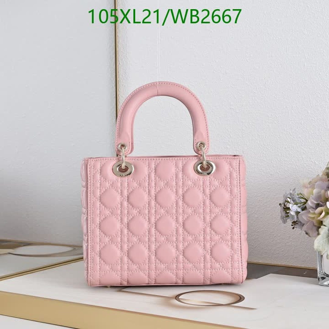 Dior-Bag-4A Quality Code: WB2667 $: 105USD