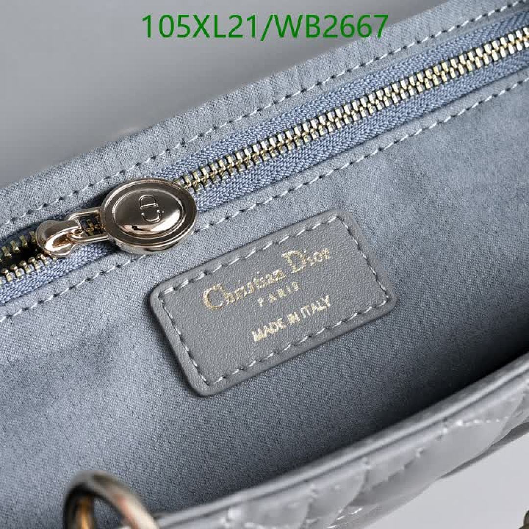 Dior-Bag-4A Quality Code: WB2667 $: 105USD