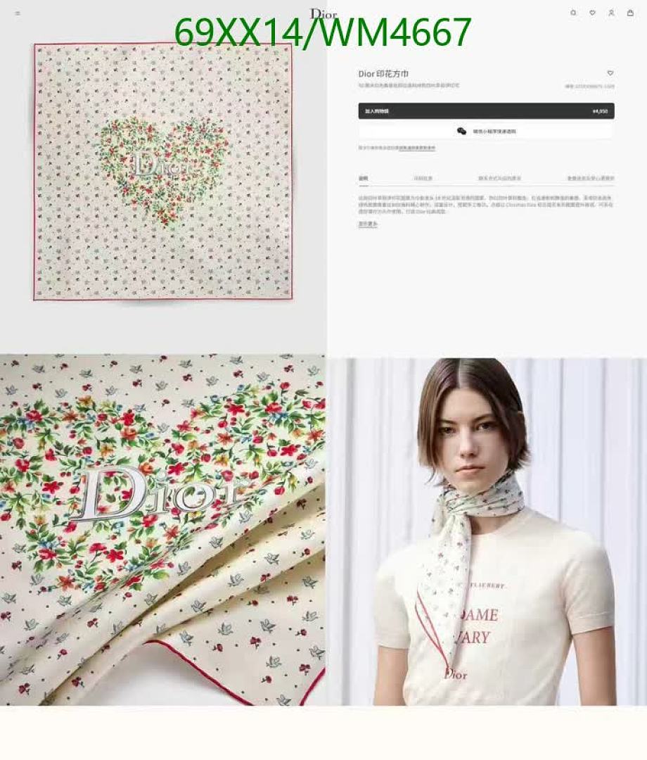 Dior-Scarf Code: WM4667 $: 69USD