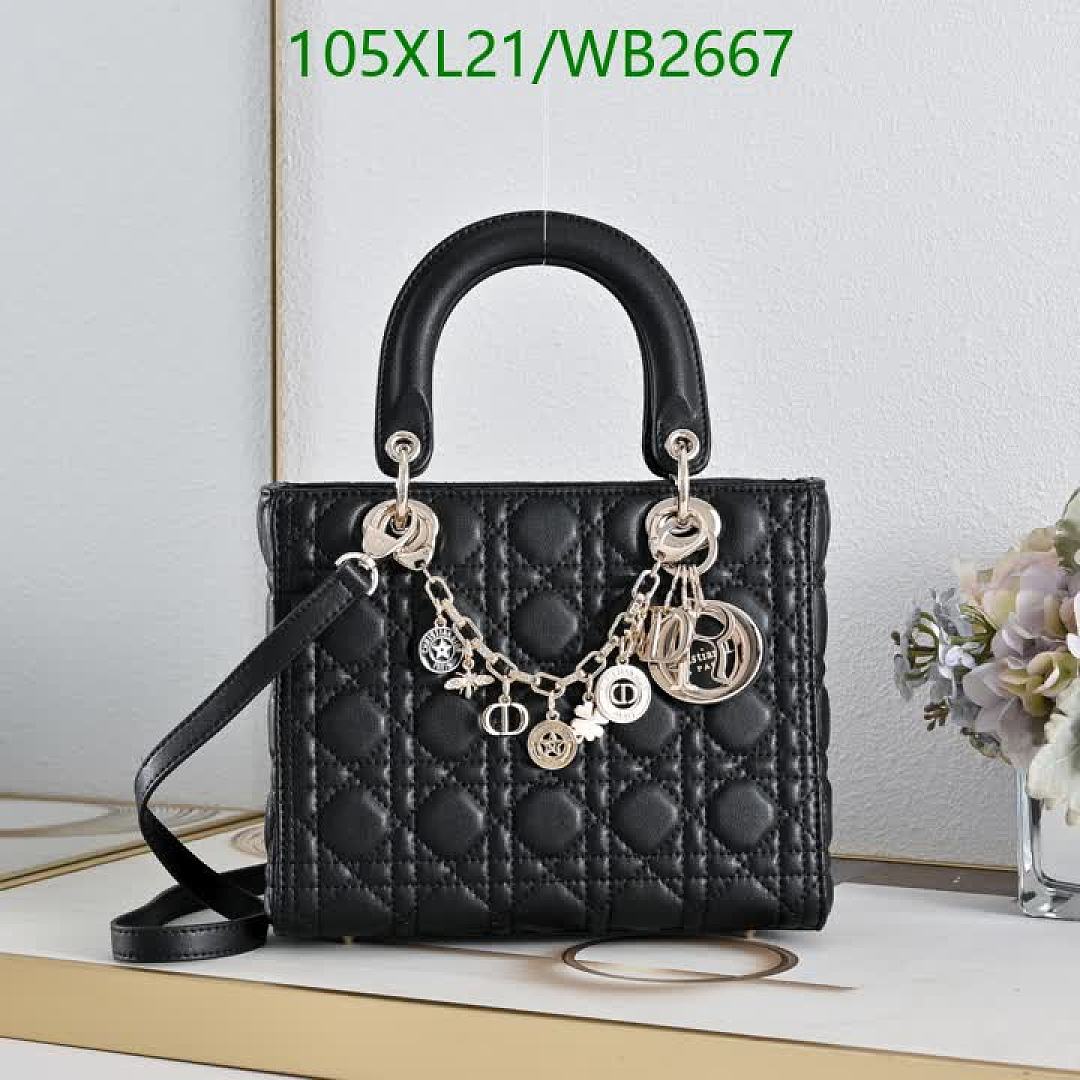 Dior-Bag-4A Quality Code: WB2667 $: 105USD