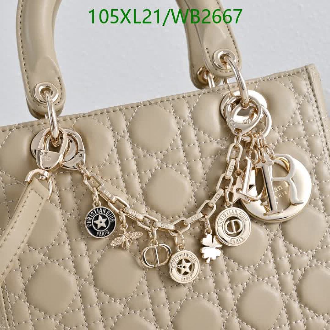Dior-Bag-4A Quality Code: WB2667 $: 105USD