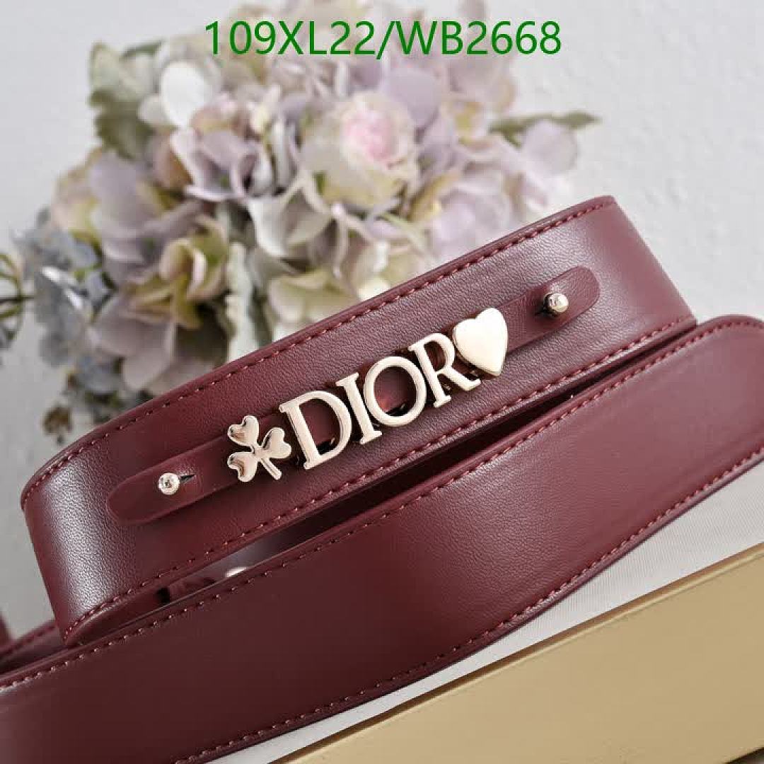 Dior-Bag-4A Quality Code: WB2668 $: 109USD