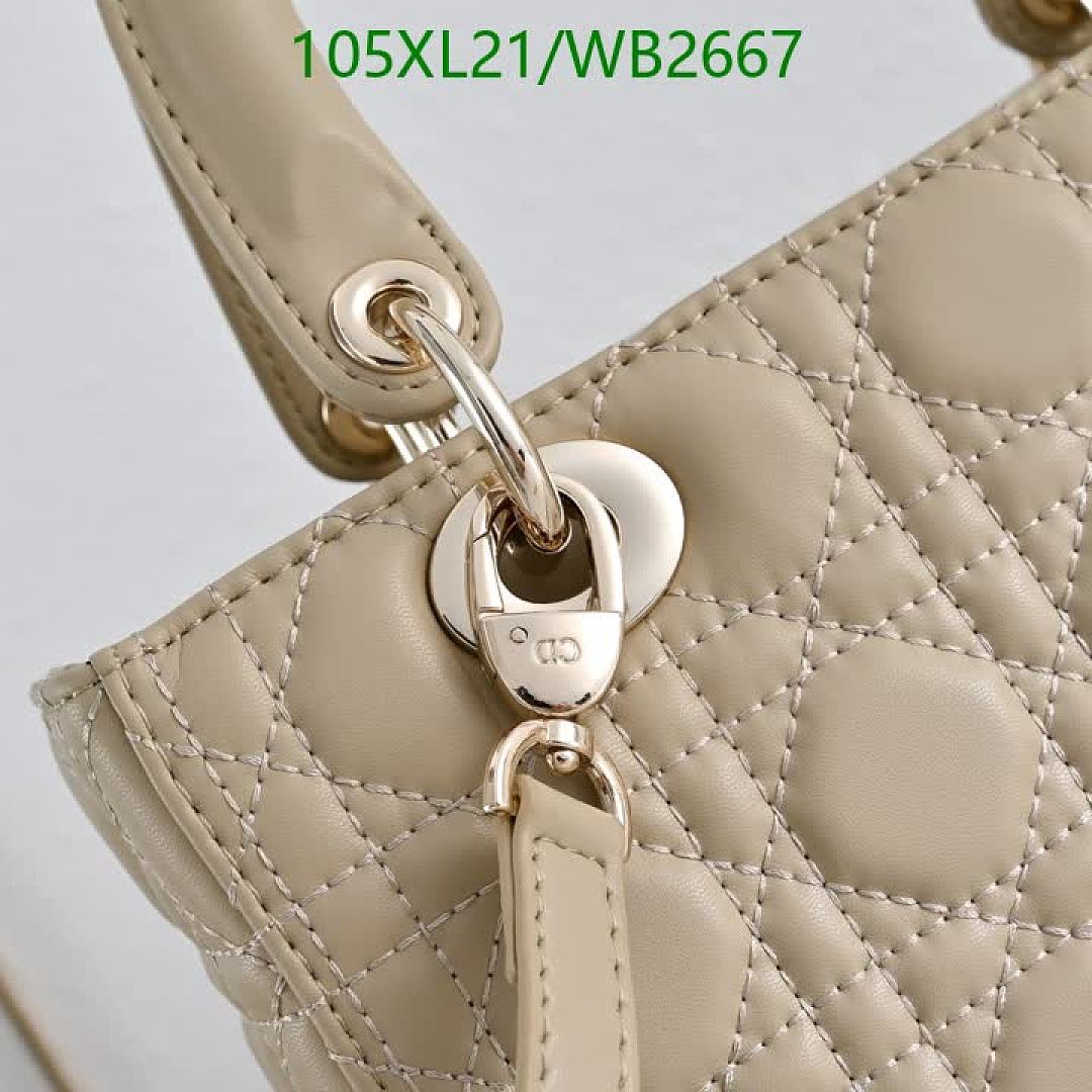 Dior-Bag-4A Quality Code: WB2667 $: 105USD