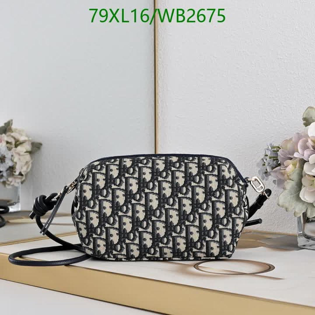 Dior-Bag-4A Quality Code: WB2675 $: 79USD