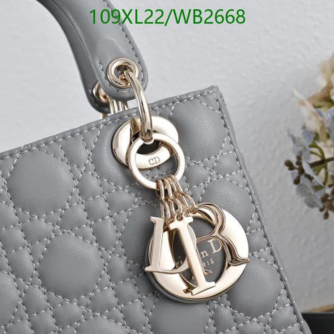 Dior-Bag-4A Quality Code: WB2668 $: 109USD