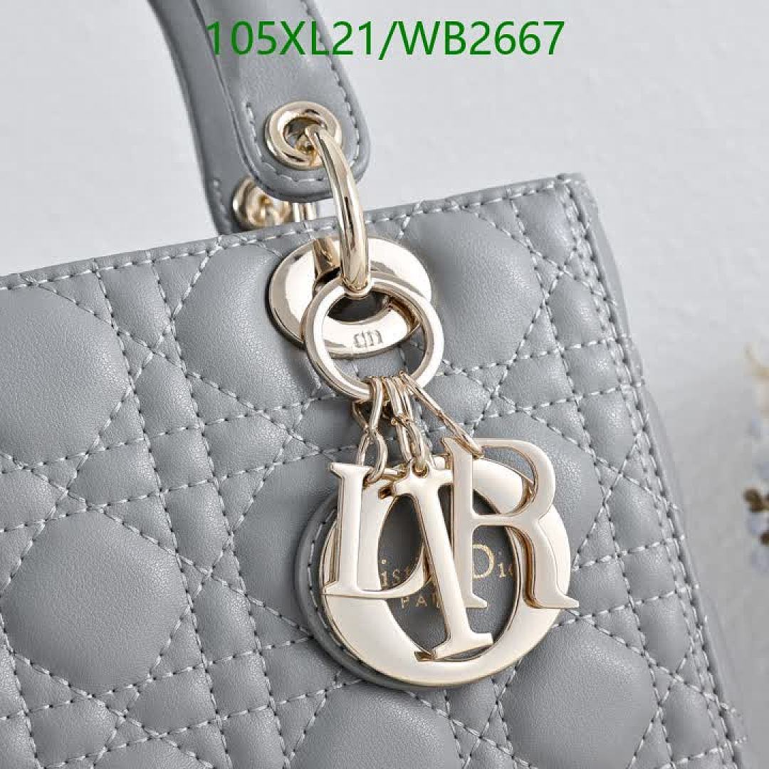Dior-Bag-4A Quality Code: WB2667 $: 105USD