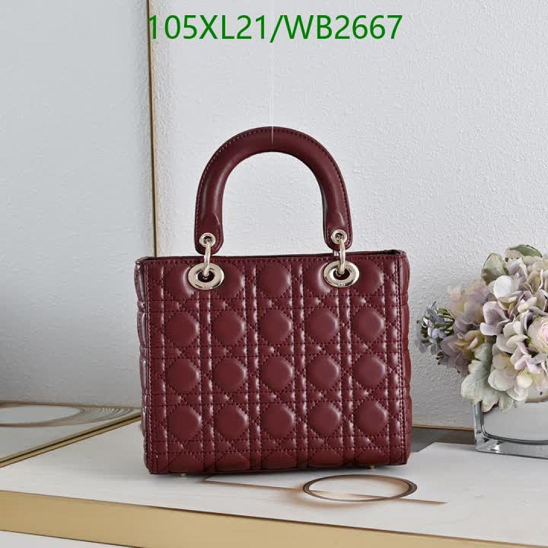 Dior-Bag-4A Quality Code: WB2667 $: 105USD