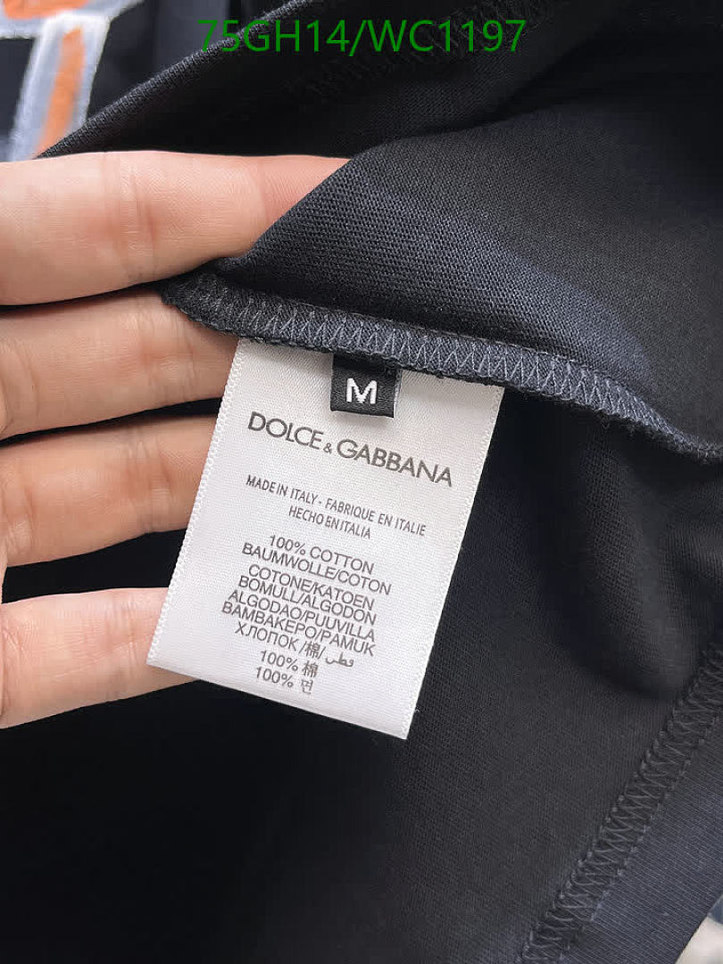 D&G-Clothing Code: WC1197 $: 75USD