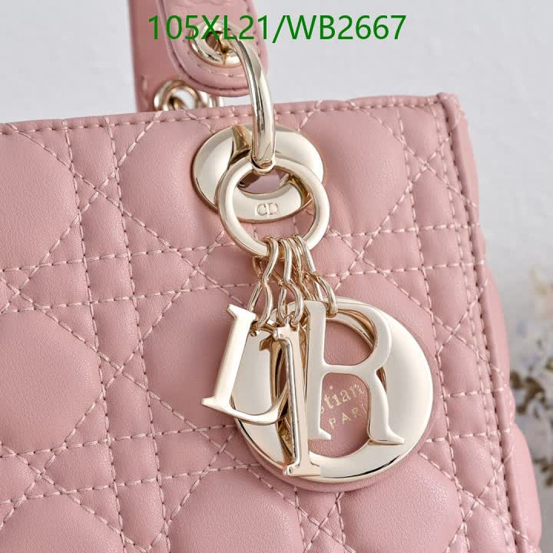 Dior-Bag-4A Quality Code: WB2667 $: 105USD