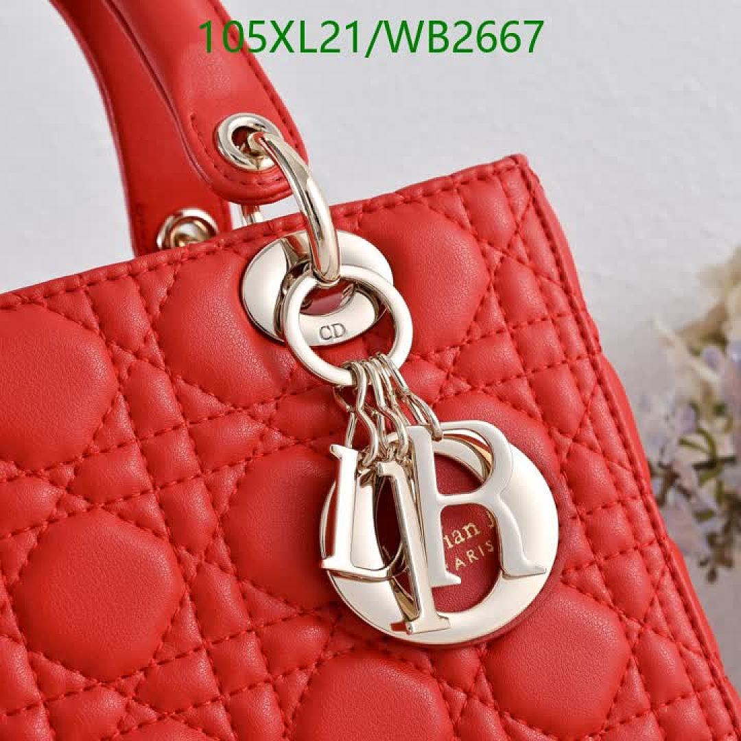 Dior-Bag-4A Quality Code: WB2667 $: 105USD