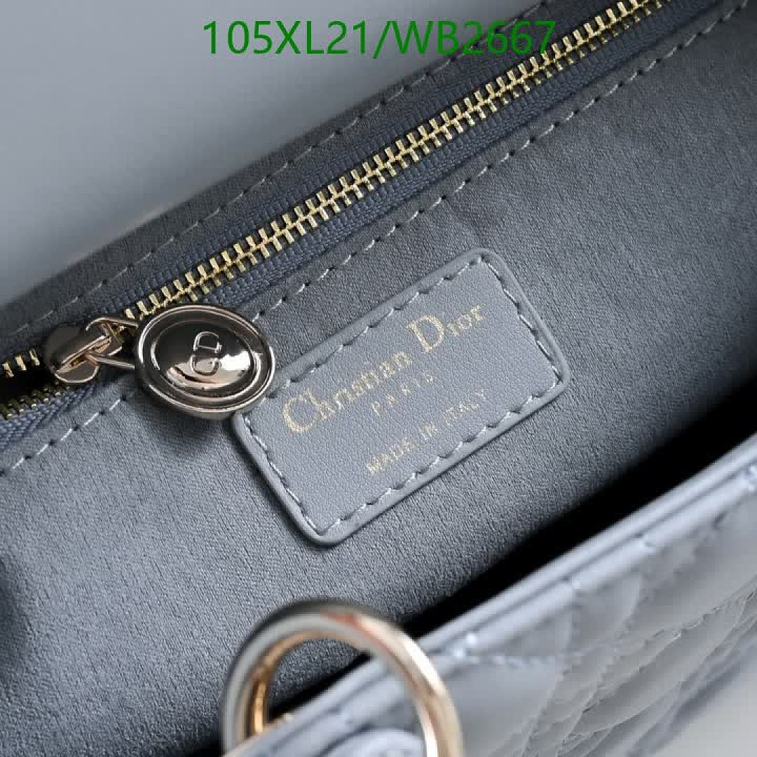 Dior-Bag-4A Quality Code: WB2667 $: 105USD