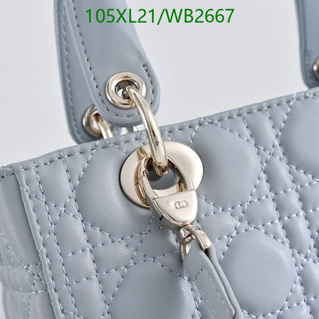 Dior-Bag-4A Quality Code: WB2667 $: 105USD