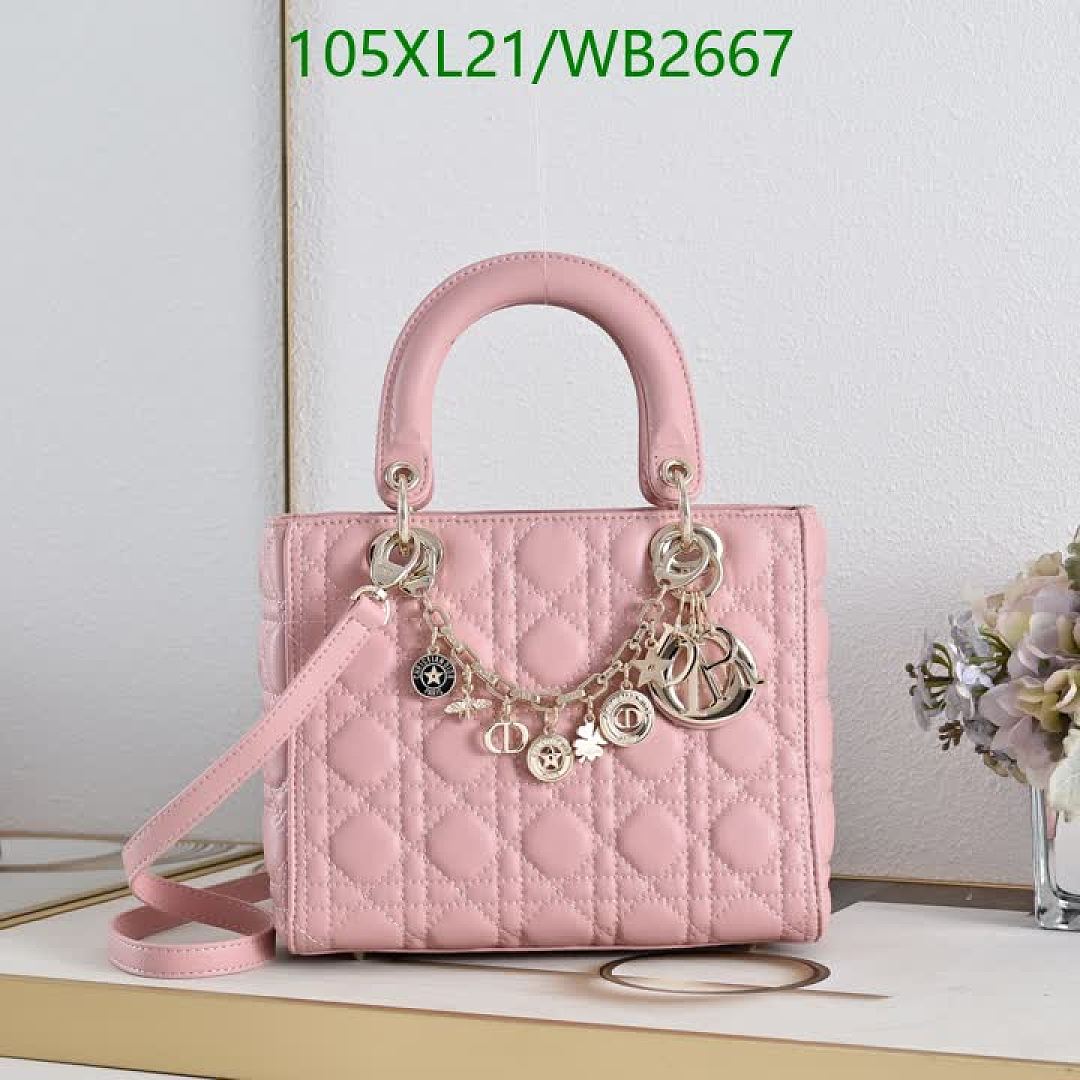 Dior-Bag-4A Quality Code: WB2667 $: 105USD