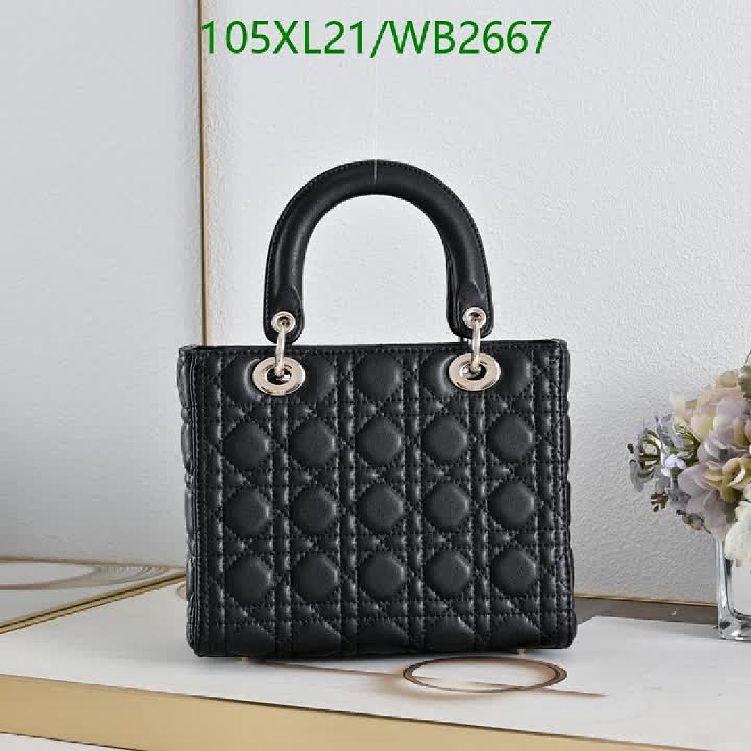 Dior-Bag-4A Quality Code: WB2667 $: 105USD