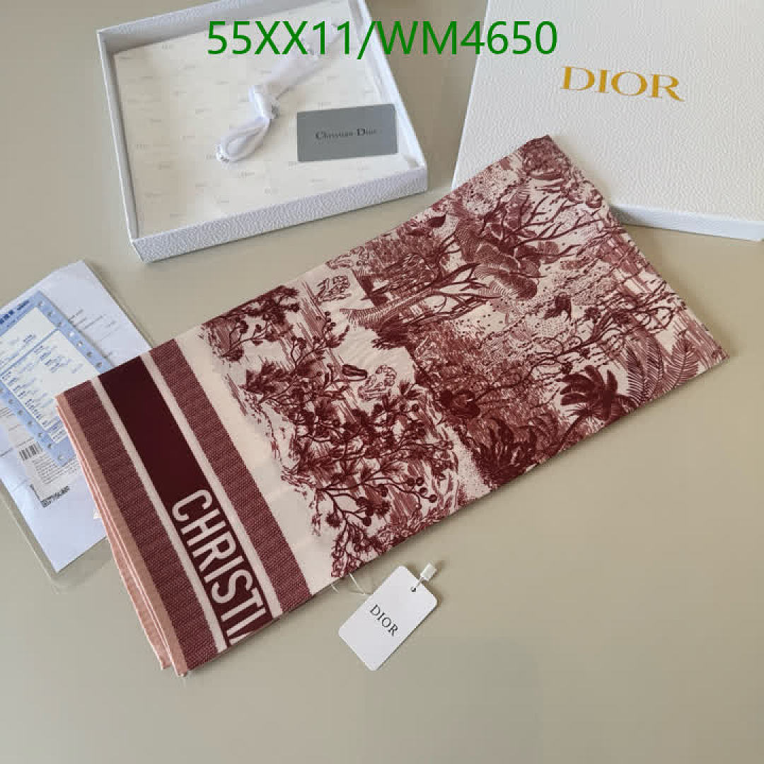 Dior-Scarf Code: WM4650 $: 55USD