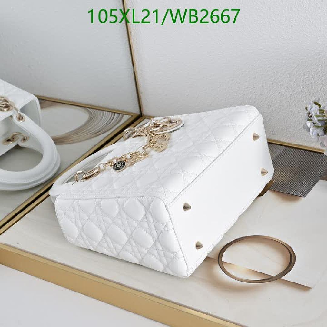 Dior-Bag-4A Quality Code: WB2667 $: 105USD