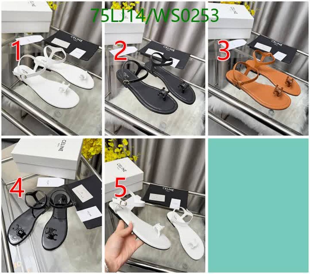 Celine-Women Shoes Code: WS0253 $: 75USD