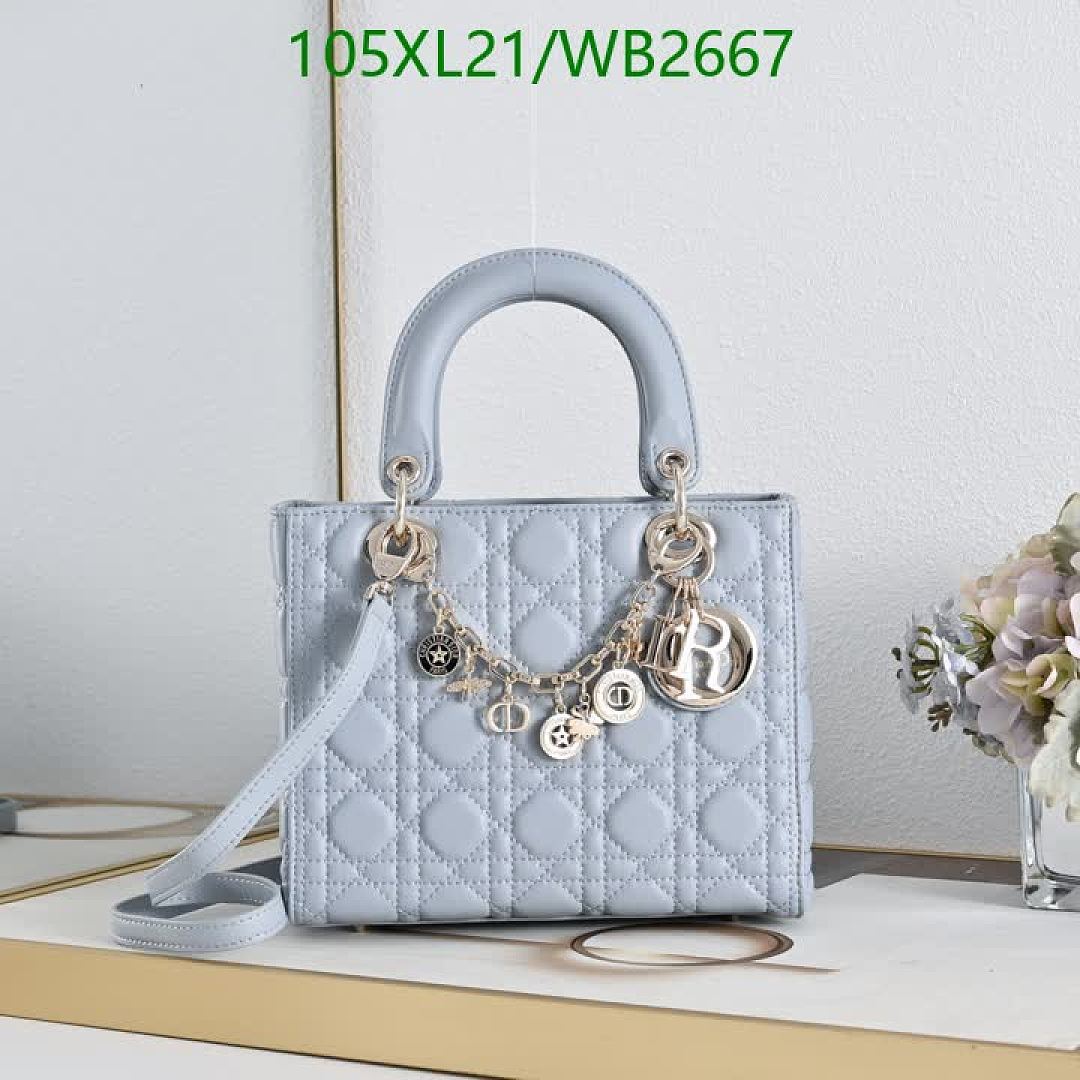 Dior-Bag-4A Quality Code: WB2667 $: 105USD
