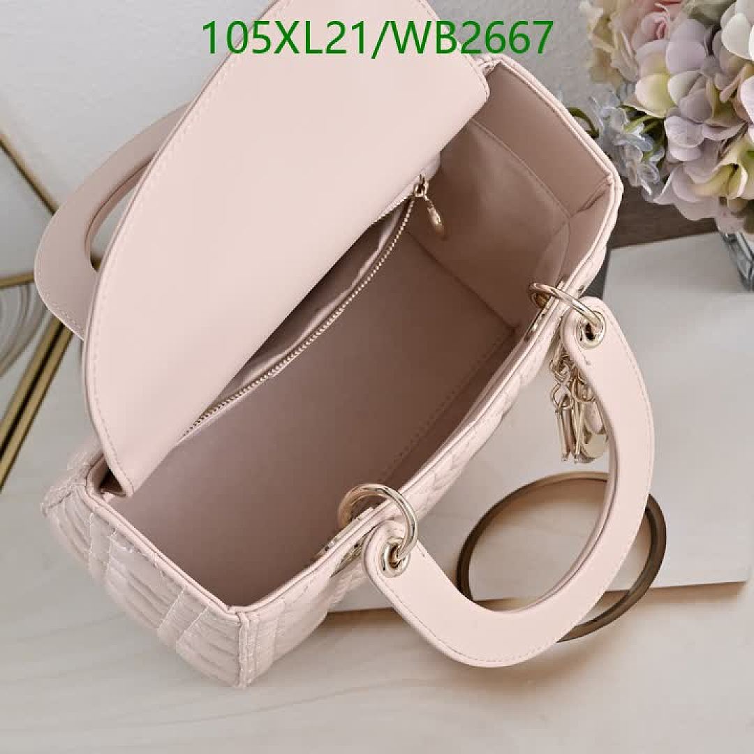 Dior-Bag-4A Quality Code: WB2667 $: 105USD