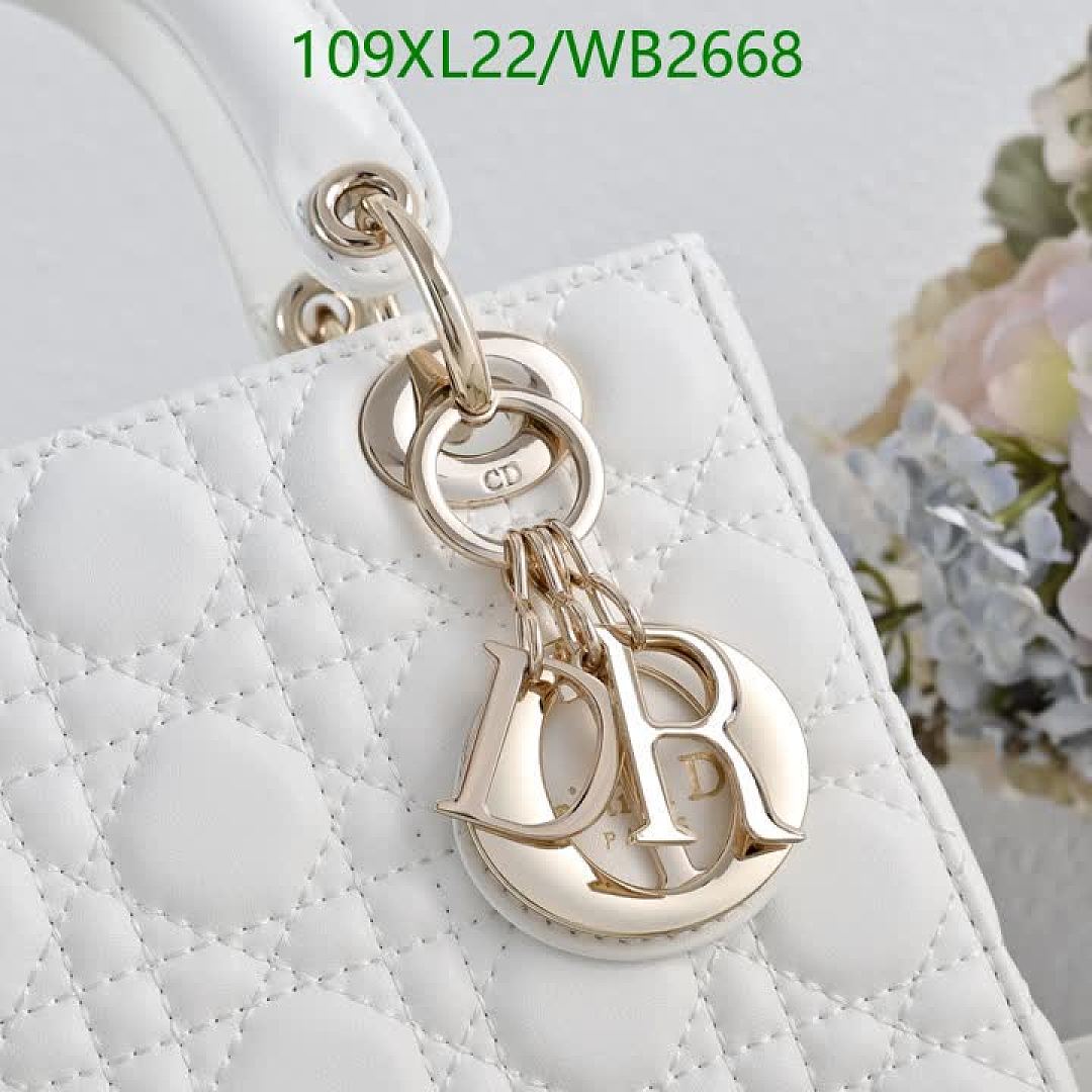 Dior-Bag-4A Quality Code: WB2668 $: 109USD