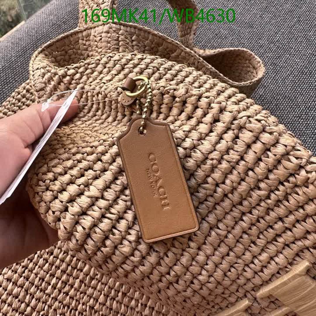 Coach-Bag-Mirror Quality Code: WB4630 $: 169USD