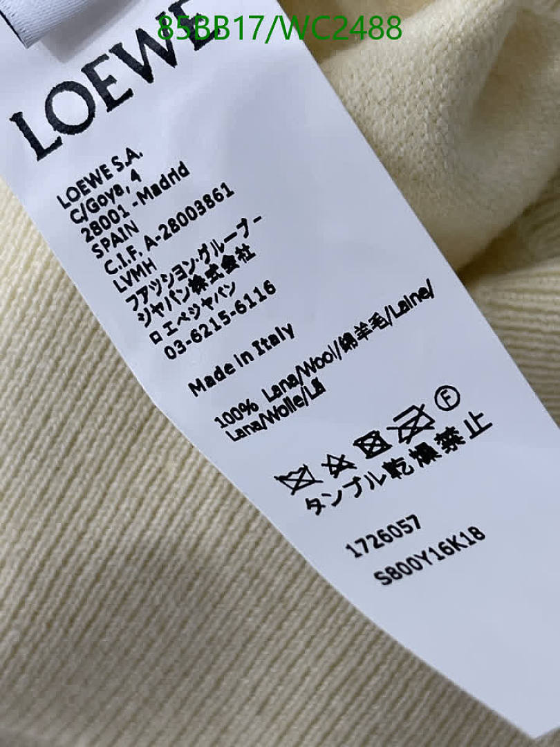 Loewe-Clothing Code: WC2488 $: 85USD