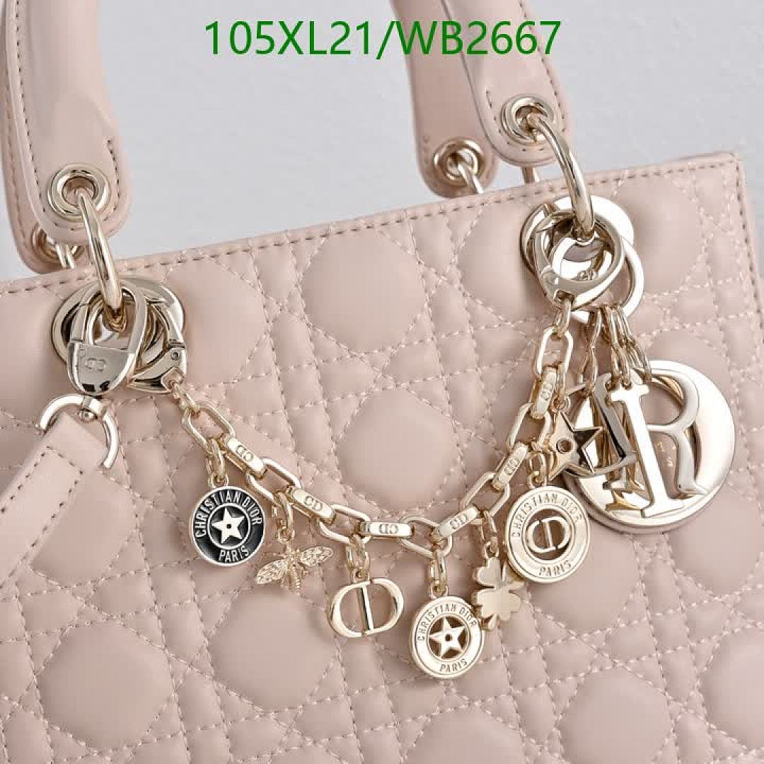 Dior-Bag-4A Quality Code: WB2667 $: 105USD