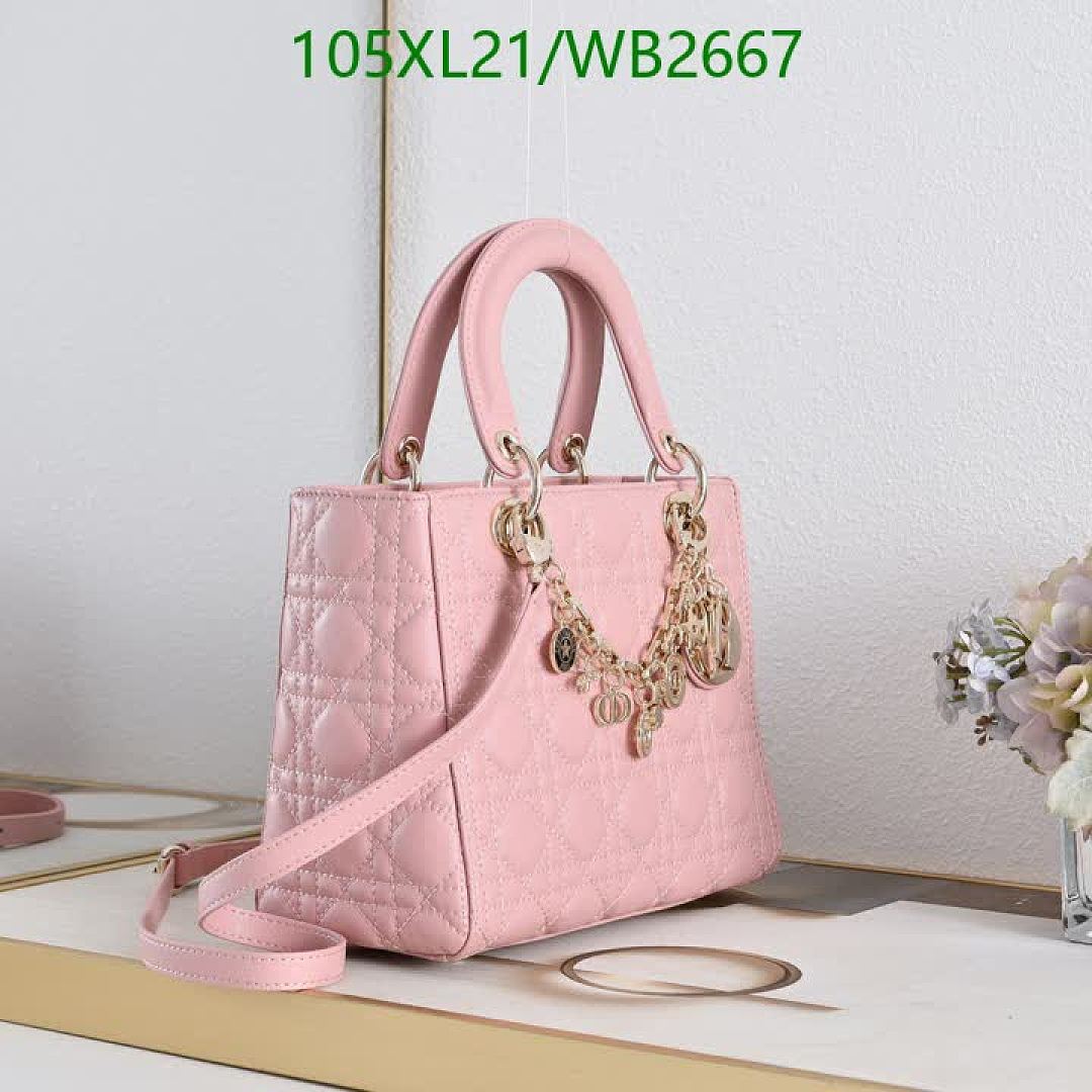 Dior-Bag-4A Quality Code: WB2667 $: 105USD