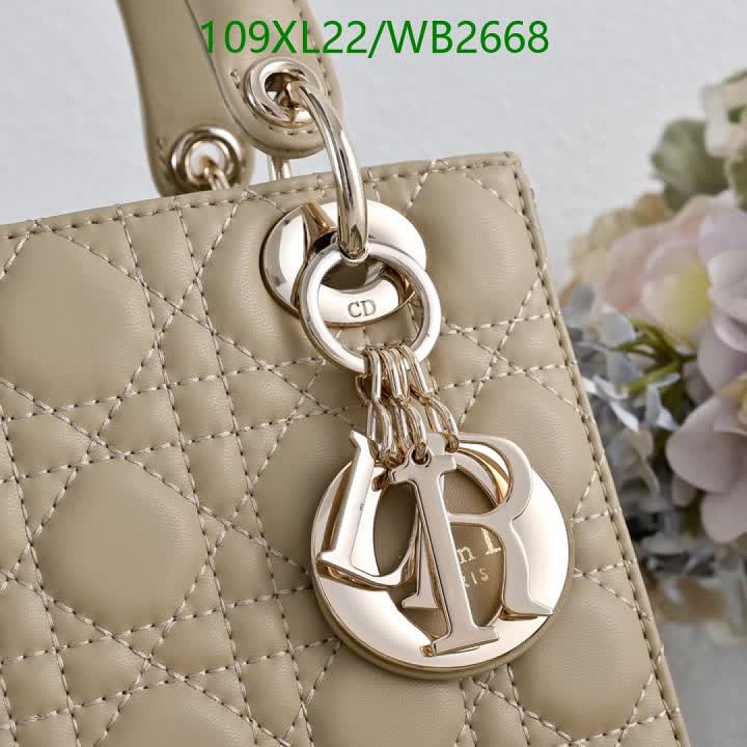 Dior-Bag-4A Quality Code: WB2668 $: 109USD