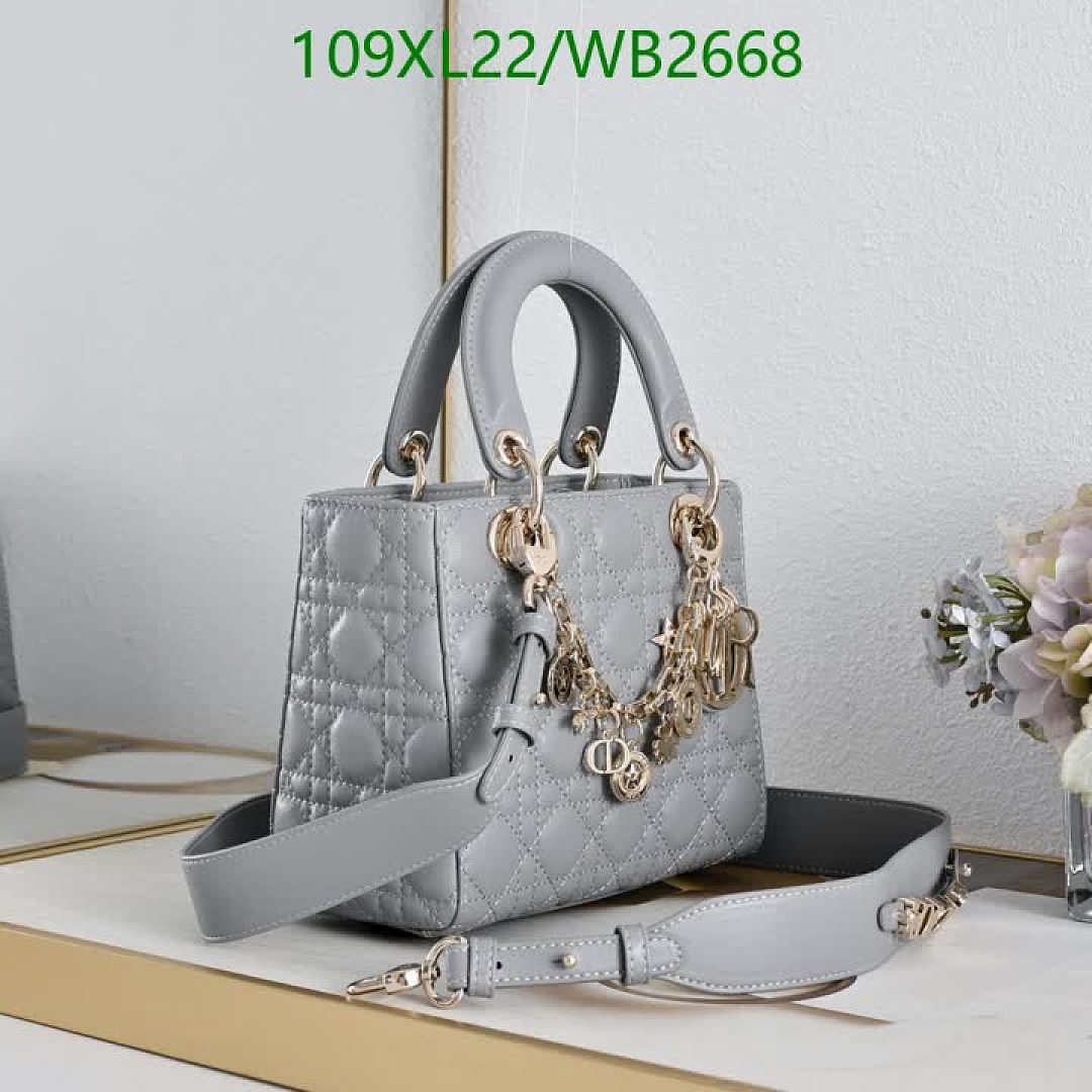 Dior-Bag-4A Quality Code: WB2668 $: 109USD