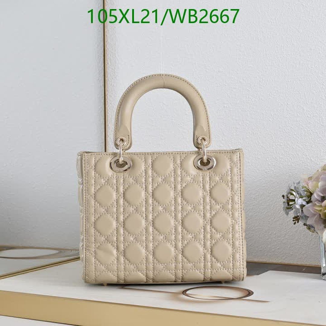 Dior-Bag-4A Quality Code: WB2667 $: 105USD