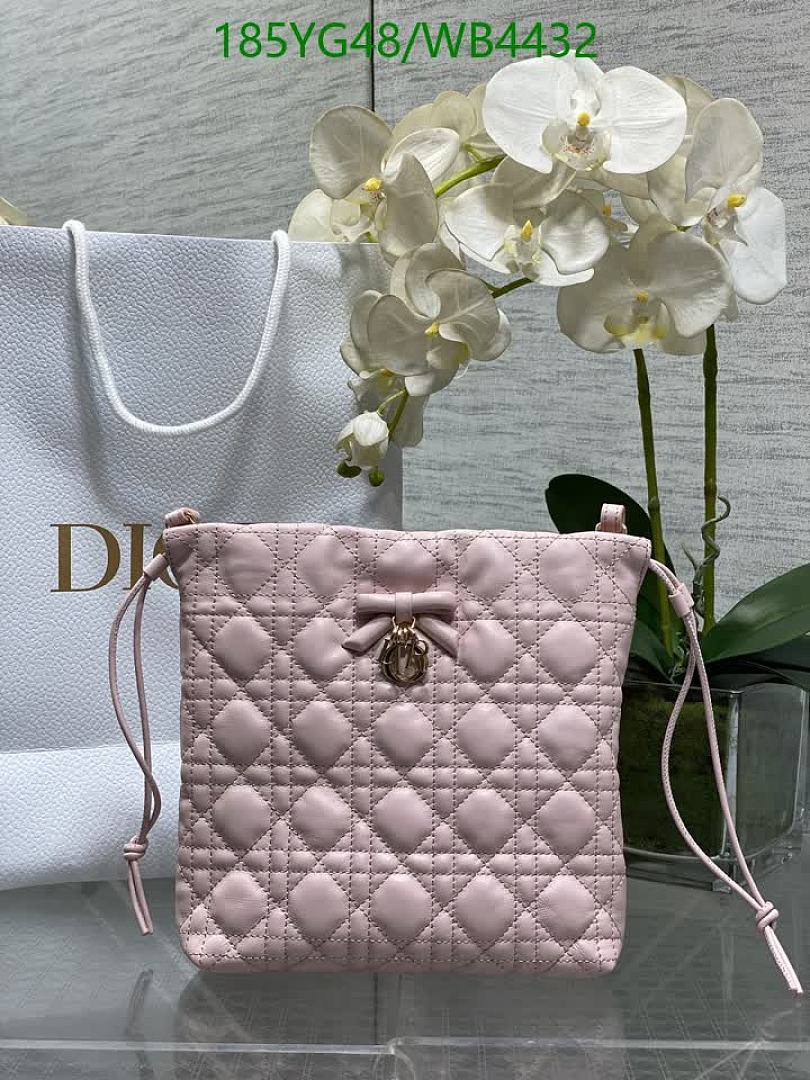 Dior-Bag-Mirror Quality Code: WB4432 $: 185USD