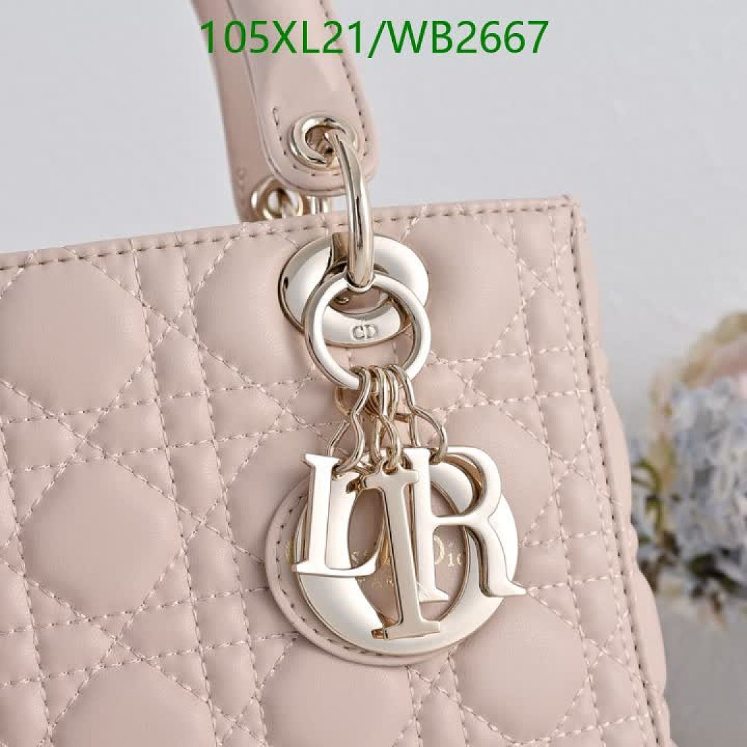 Dior-Bag-4A Quality Code: WB2667 $: 105USD