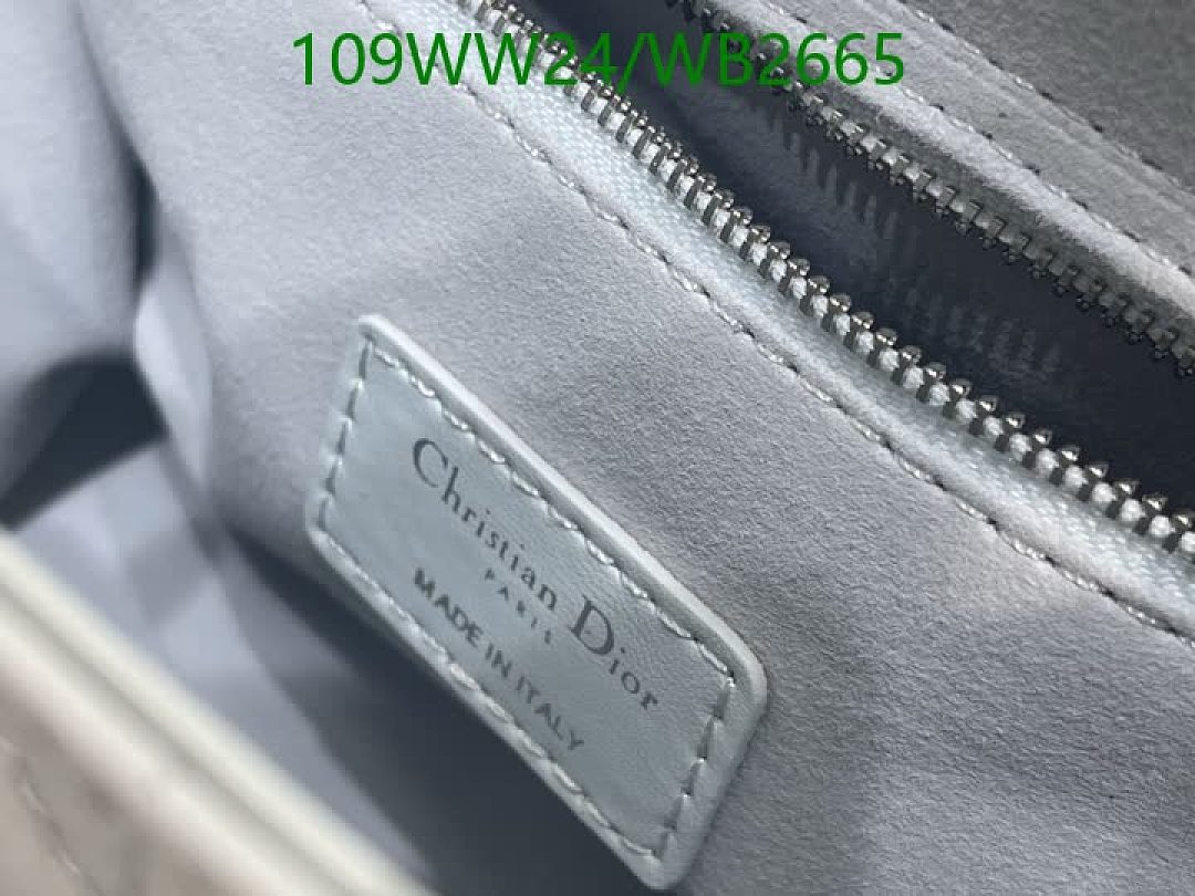 Dior-Bag-4A Quality Code: WB2665 $: 109USD