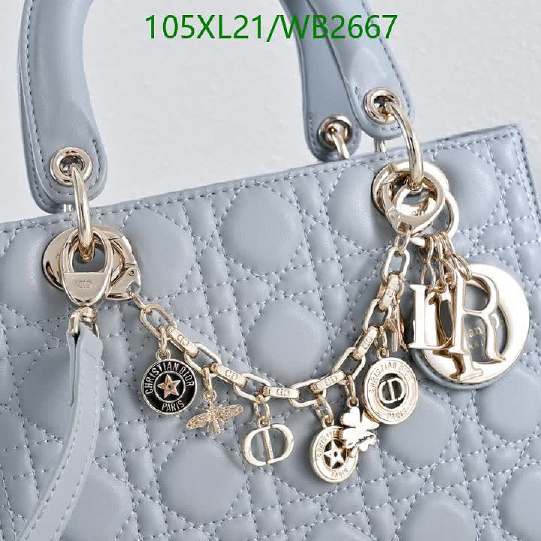 Dior-Bag-4A Quality Code: WB2667 $: 105USD